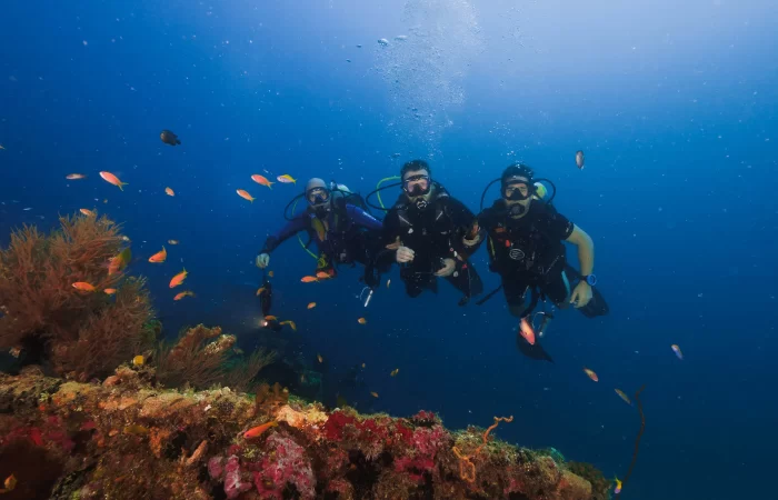 Scuba Diving Maldives Arora Virgo Liveaboard